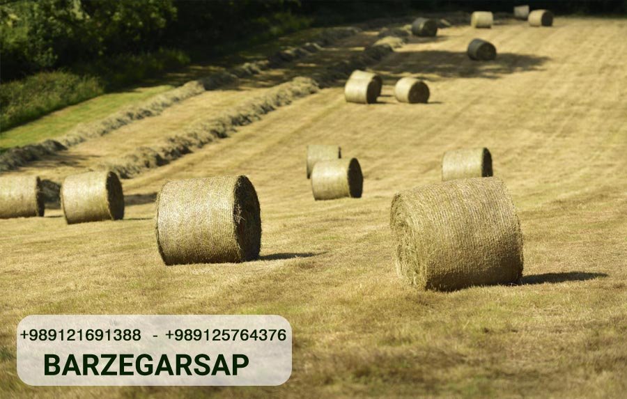 The Importance of Using Quality Baler Twine for Your Baling Operations