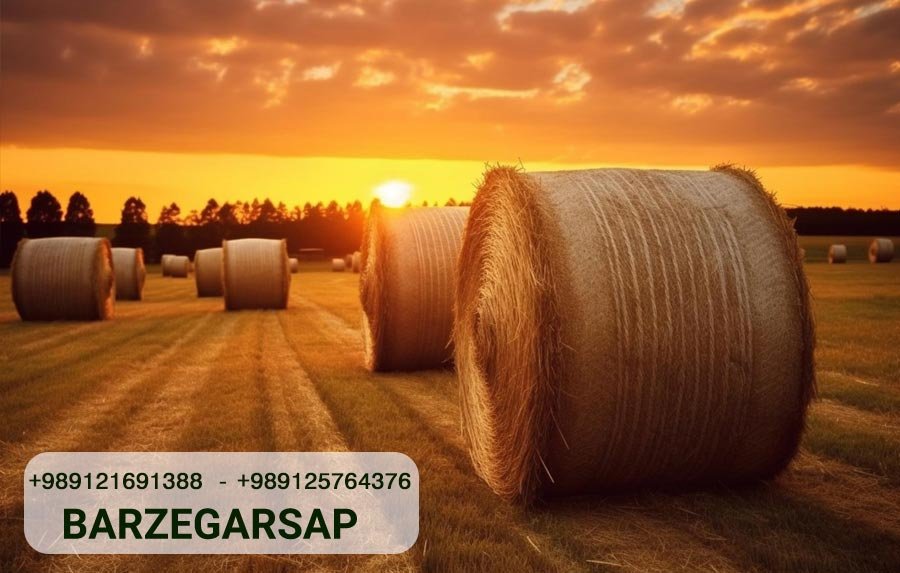Understanding Baler String and Its Applications in Agriculture