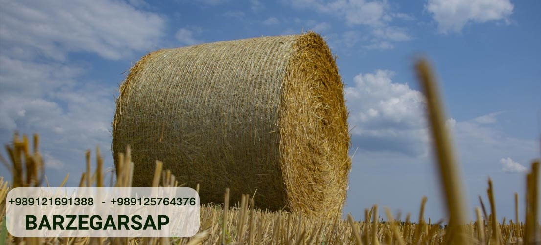 Understanding Baler String and Its Applications in Agriculture